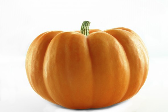 Pumpkin