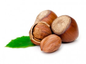 mollissima