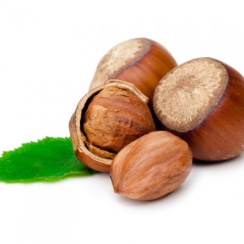 mollissima